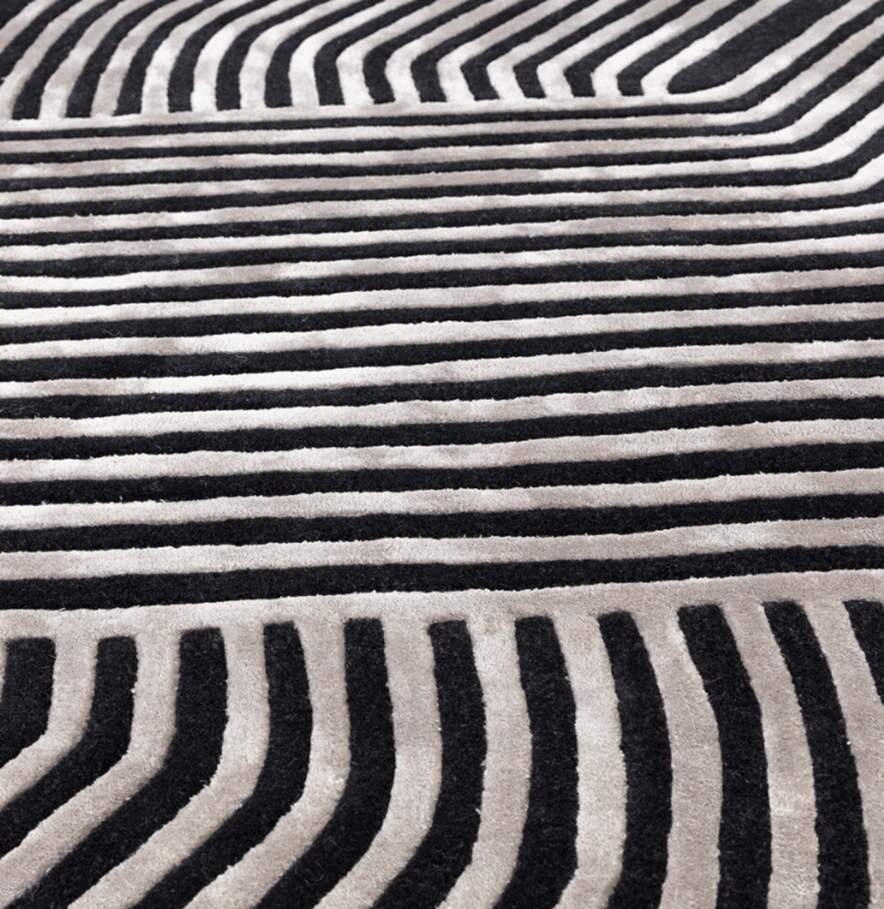 Tapis moderne tufté main en laine ACME