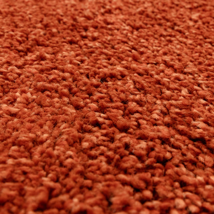 Tapis de salon et chambre poils longs MAPY