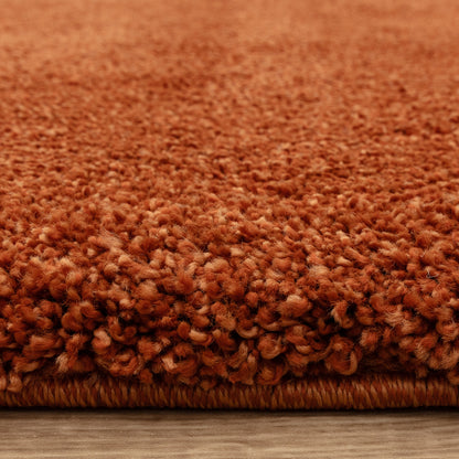 Tapis de salon et chambre poils longs MAPY