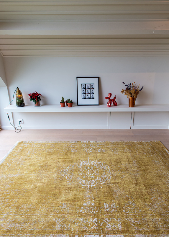 Tapis de salon style orient tissé plat WANE