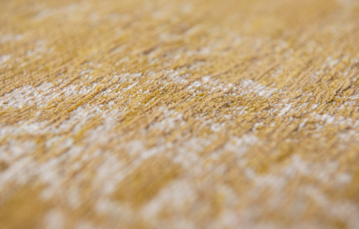 Tapis de salon style orient tissé plat WANE