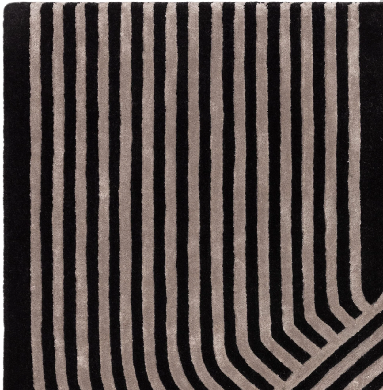 Tapis moderne tufté main en laine ACME