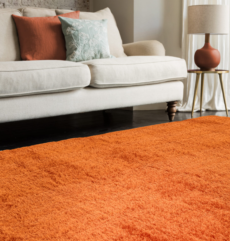 Tapis de salon shaggy PYTHON