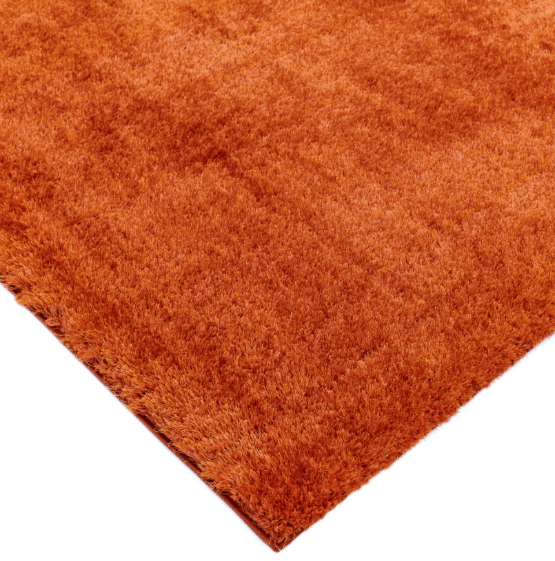 Tapis de salon shaggy PYTHON