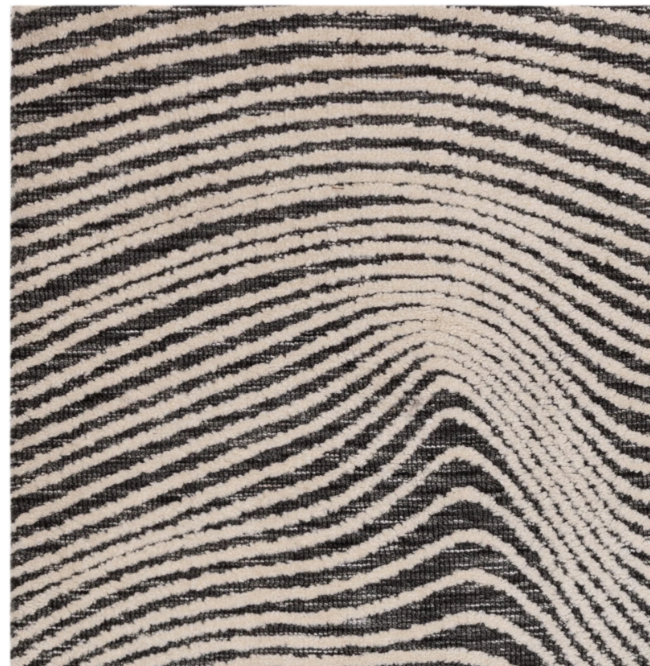 LONGITUDE Modern Rug for Living Room and Bedroom