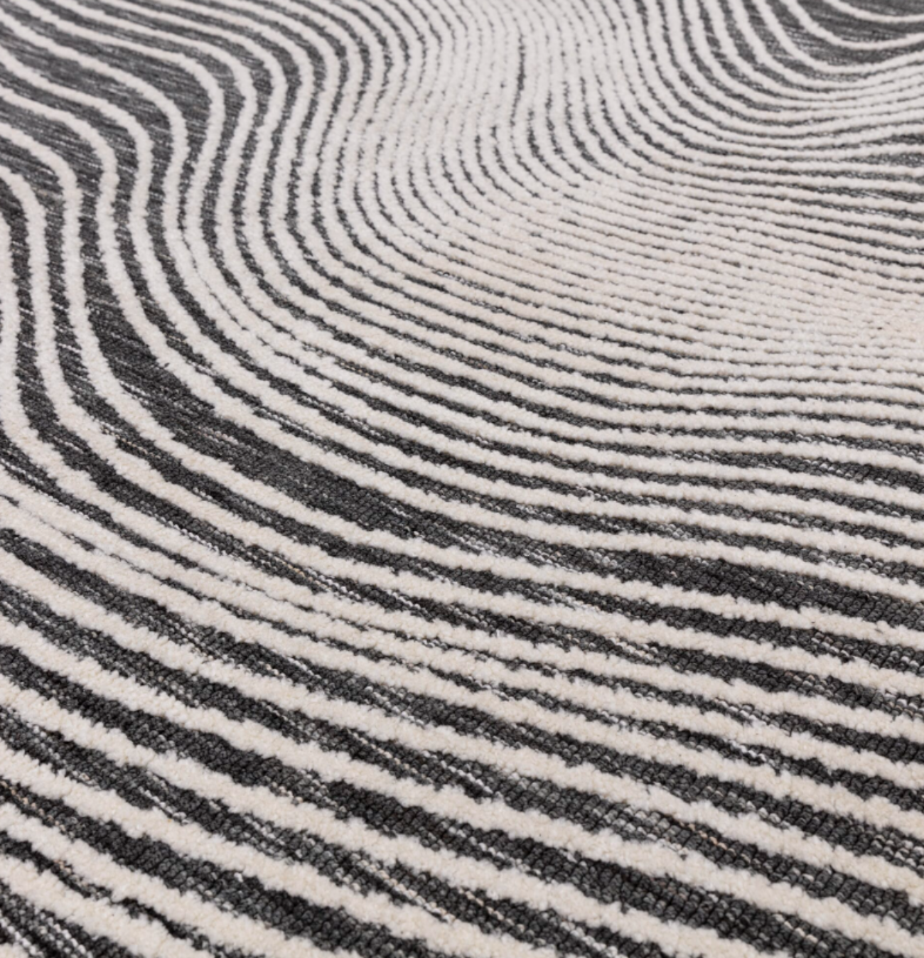 LONGITUDE Modern Rug for Living Room and Bedroom