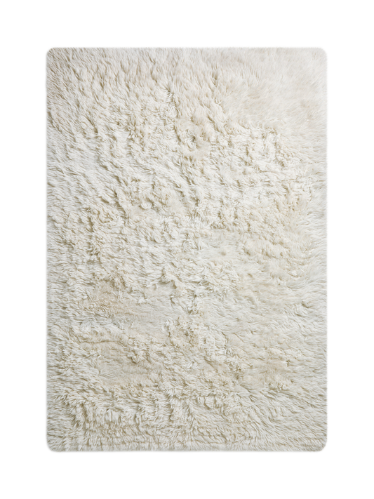 Tapis de salon et chambre shaggy LADA