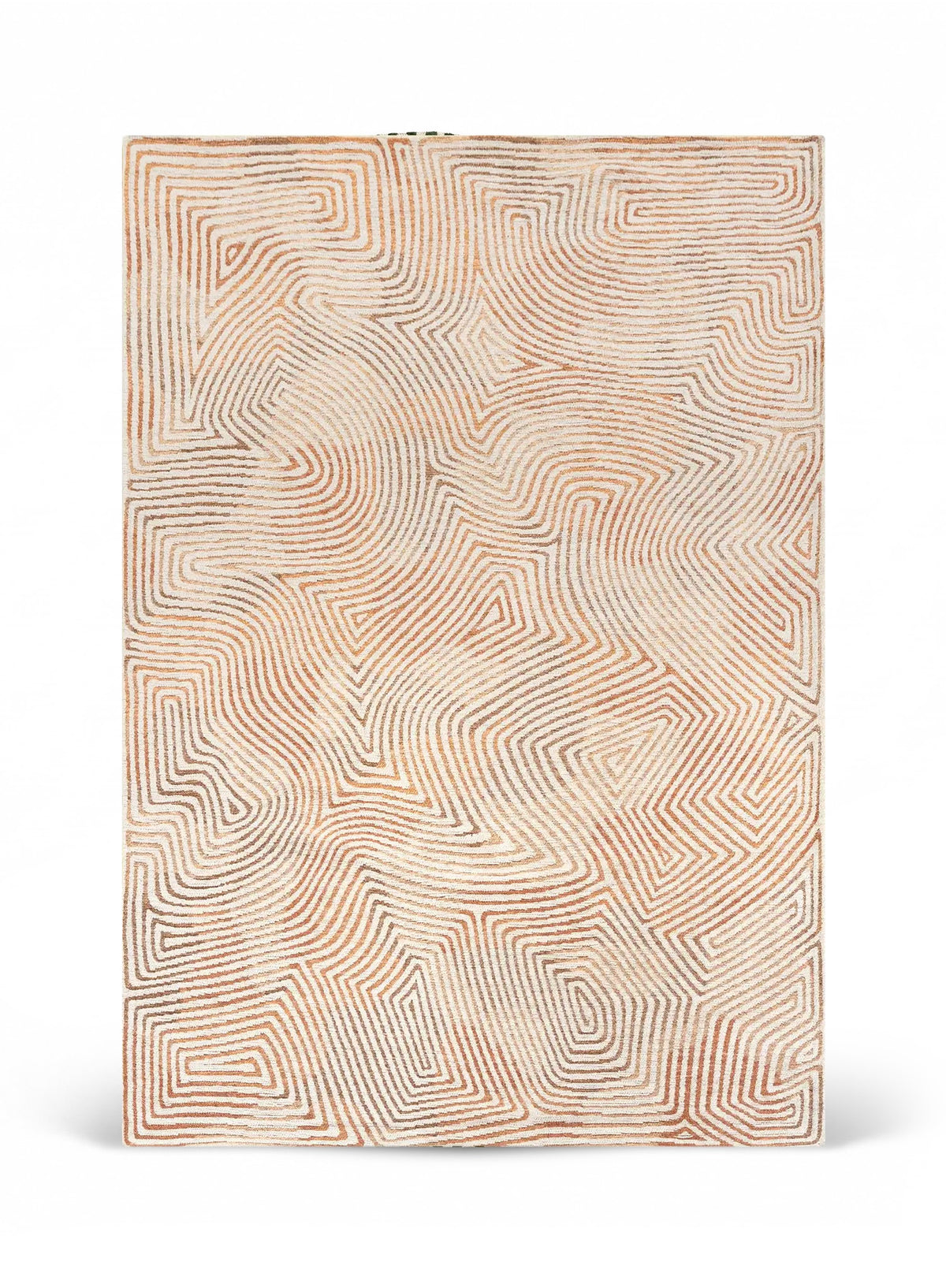 Tapis tissé plat moderne SCARLET