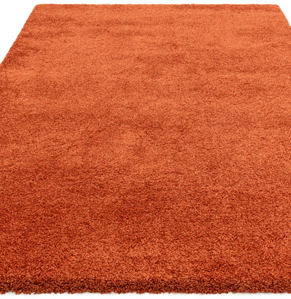 Tapis de salon et chambre poils longs MAPY