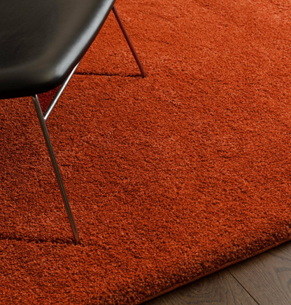 Tapis de salon et chambre poils longs MAPY