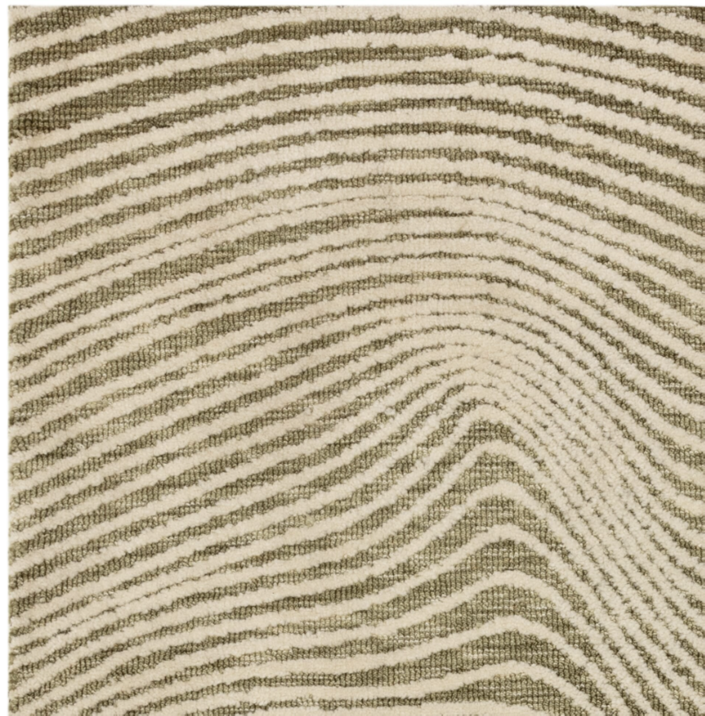 LONGITUDE Modern Rug for Living Room and Bedroom