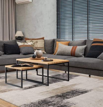 ZUKA LINES Modern Rug for Living Room and Bedroom