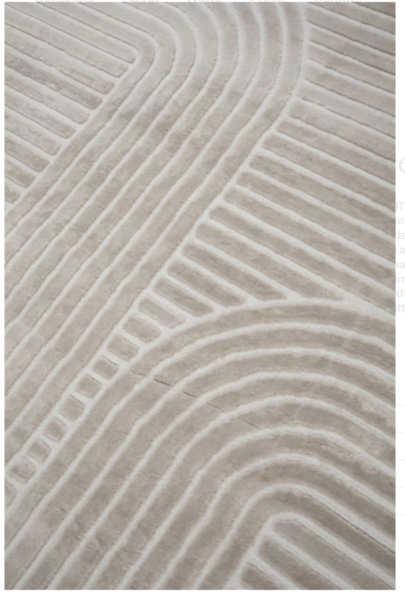 Tapis moderne tissé plat CHIKA