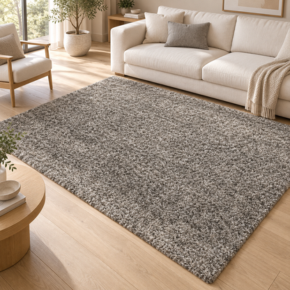 Tapis BARNY gris dans un salon contemporain